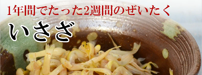 福井県若狭小浜　津田孫兵衛 いさざ style=